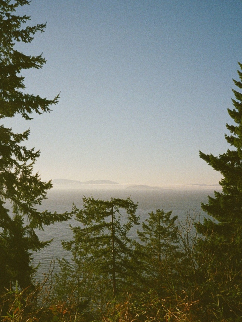 Pentax 17 Film Camera - Black & Silver - Picture 7 of 8